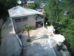  Guest House Family  Квариати